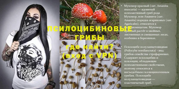 ECSTASY Абдулино