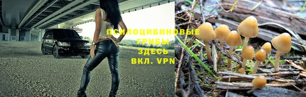 герыч Алзамай