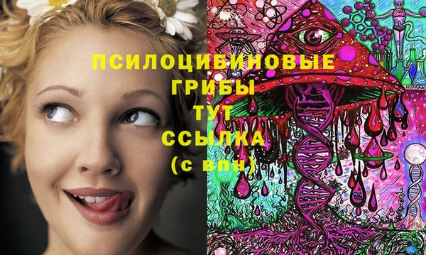 МДМА Алексин